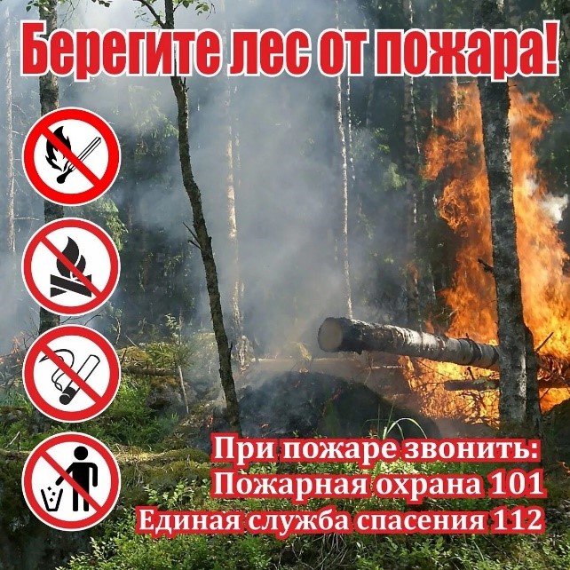 Пожарная безопасность в лесу (природные пожары).