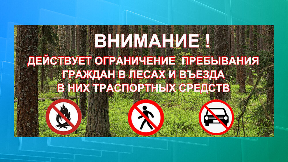 Внимание! В лесах Воронежской области с 31 мая введут ограничения на пребывание граждан и въезд транспорта.